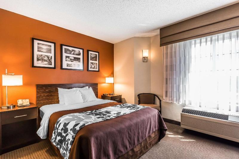 Queen Room - Accessible/Non-Smoking image 3