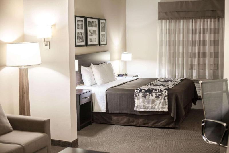 King Suite - Non-Smoking image 2