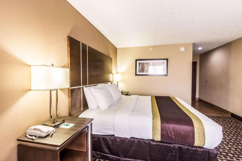 King Room image 1