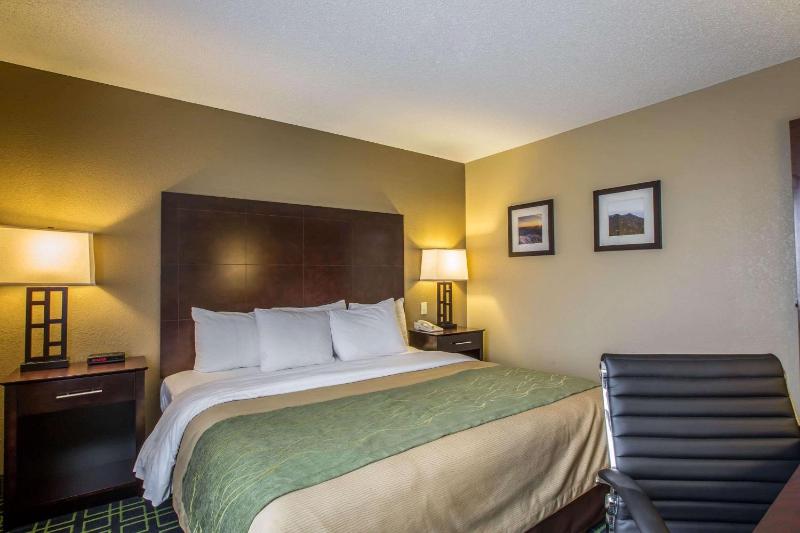 King Room - Accessible/Non-Smoking image 1
