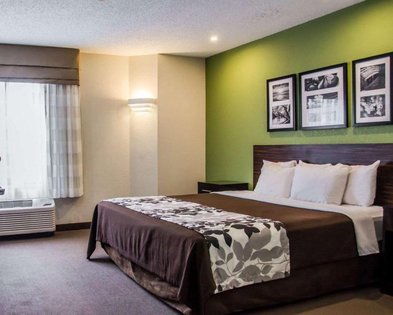 King Room image 2