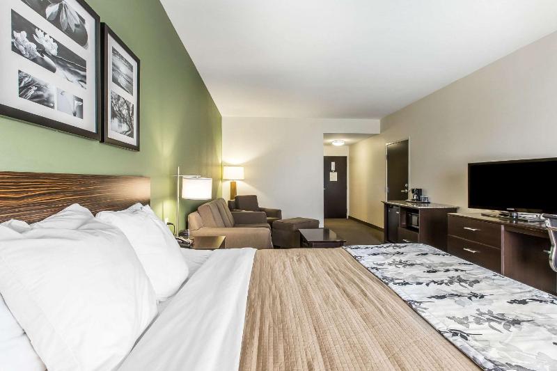 King Suite - Accessible/Non-Smoking image 4