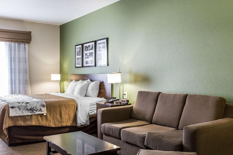 King Suite - Non-Smoking image 4