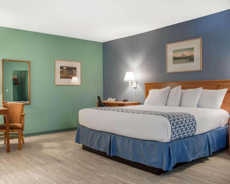 King Room - Accessible/Non-Smoking image 3