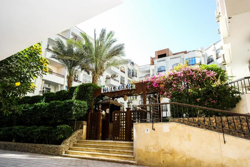 Solider Art - image 4