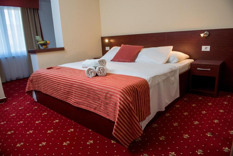 Standard Double Room image 4