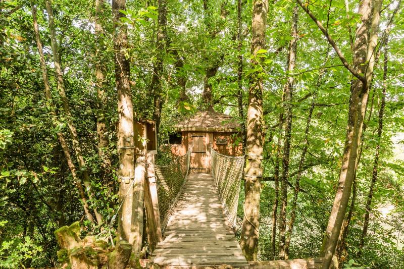 Tree House with Balcony (4 Persons) image 1