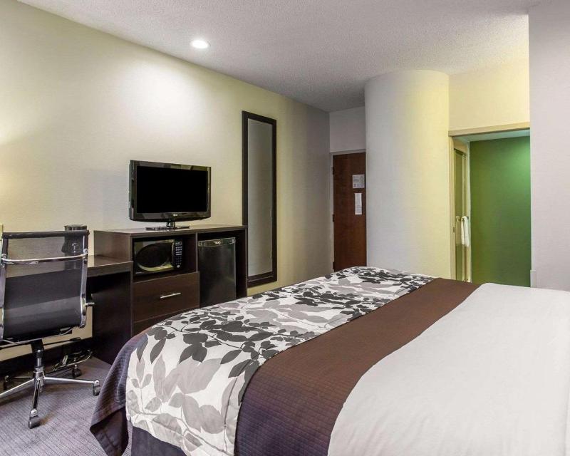 King Room - Non-Smoking image 2