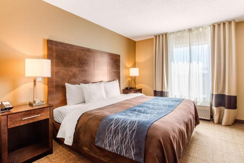 King Suite with Sofa Bed image 1