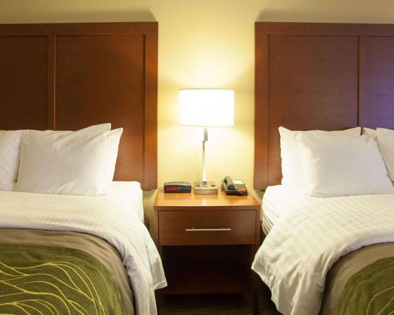 Queen Room with Two Queen Beds - Non-Smoking image 2