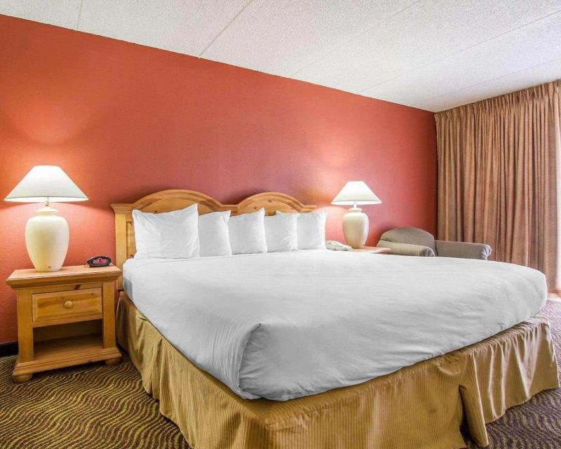 Deluxe King Room with Patio - Non-Smoking image 3