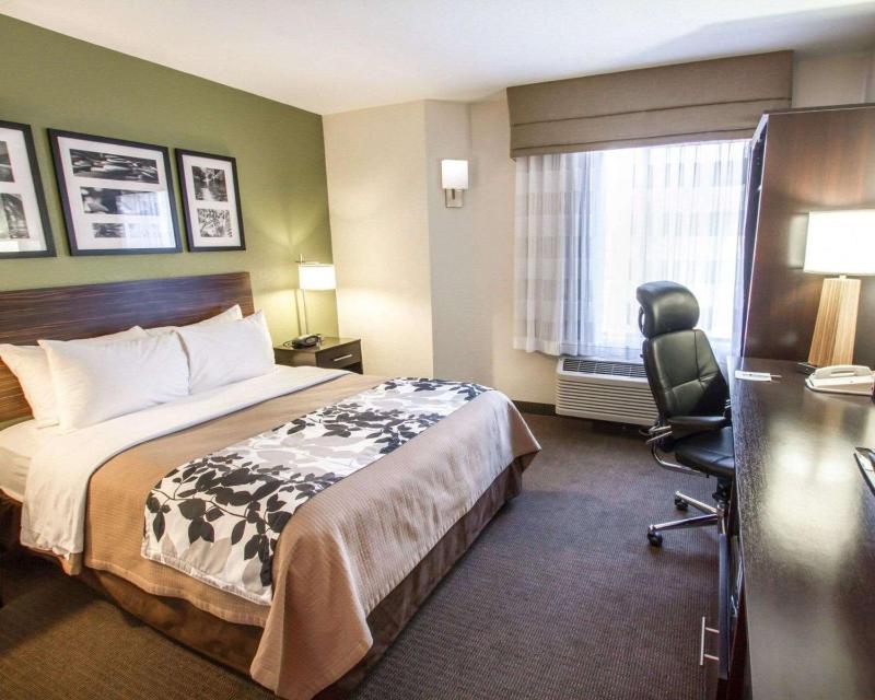 King Room - Non-Smoking image 2