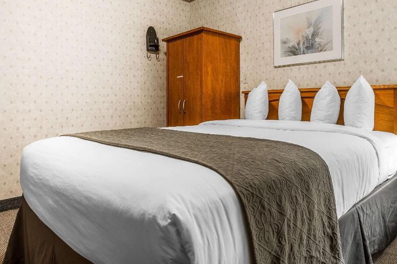 Queen Suite - Disability Access image 4
