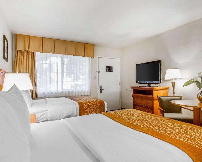 Standard Room with Two Double Beds Non-Smoking image 2