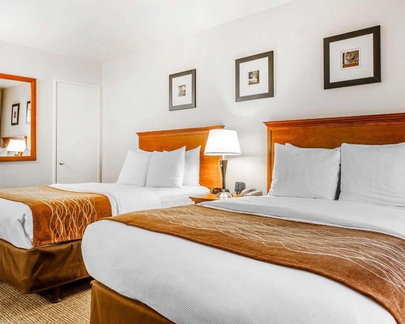 Standard Room with Two Double Beds Non-Smoking image 3