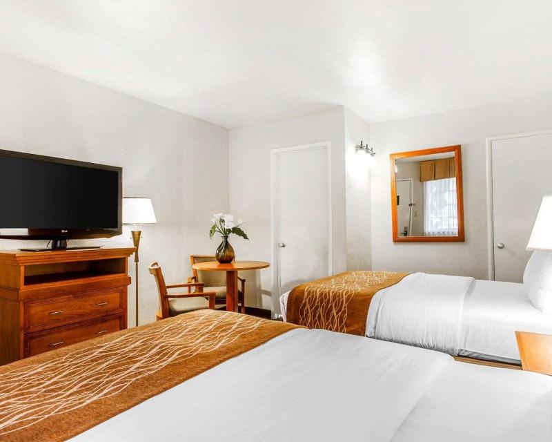 Standard Room with Two Double Beds Non-Smoking image 4
