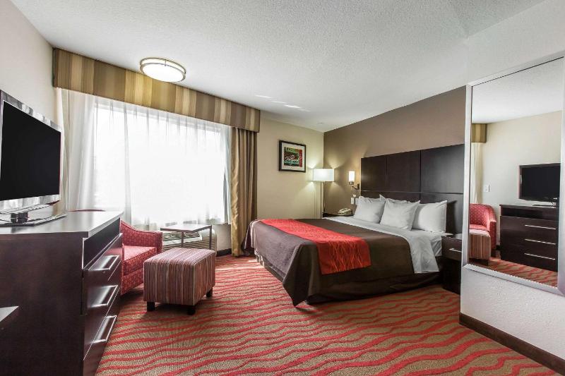 Comfort Inn Los Angeles near Hollywood - image 6
