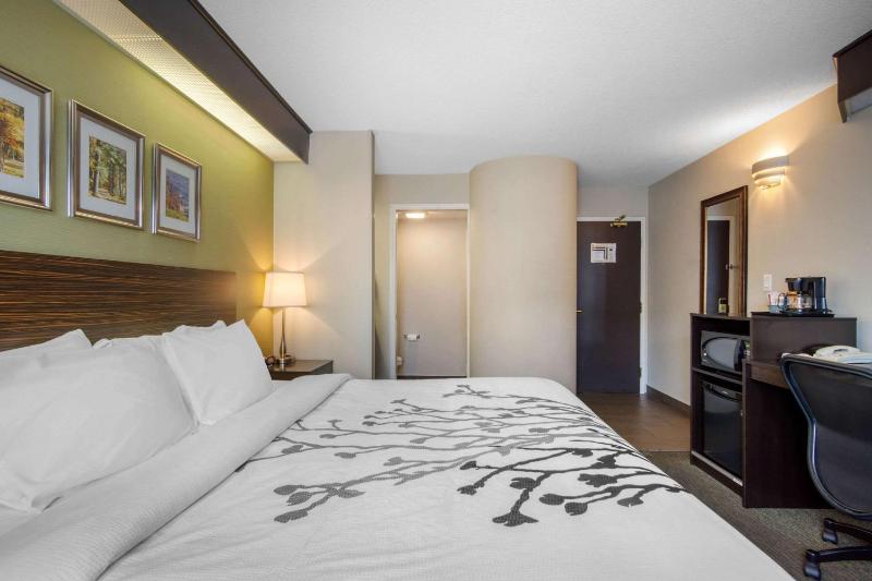 Traditional King Room - Non Smoking 