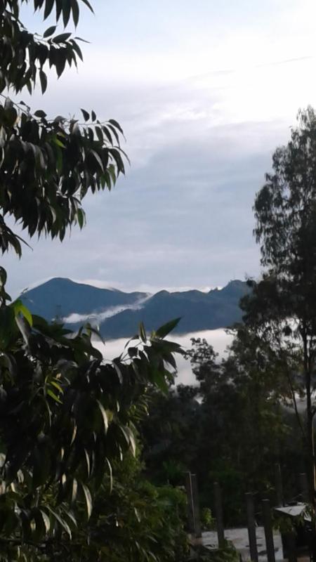 Sun View Resort Kithalella - image 19