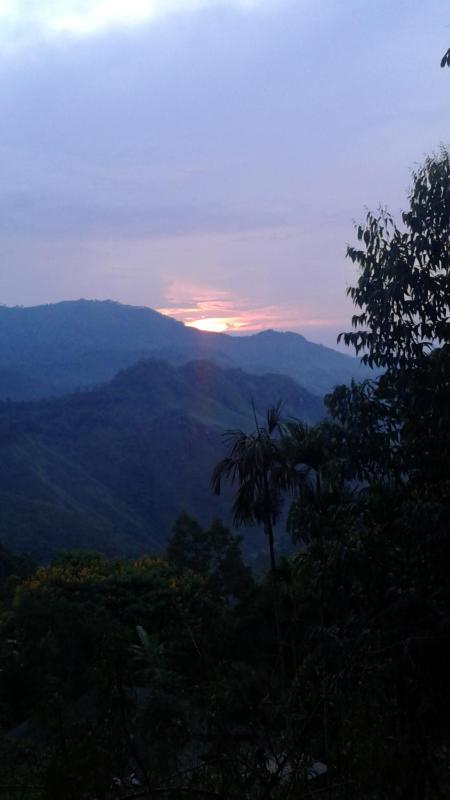 Sun View Resort Kithalella - image 28