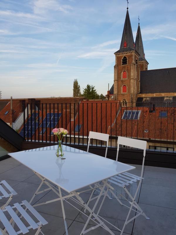Studio with Terrace image 4
