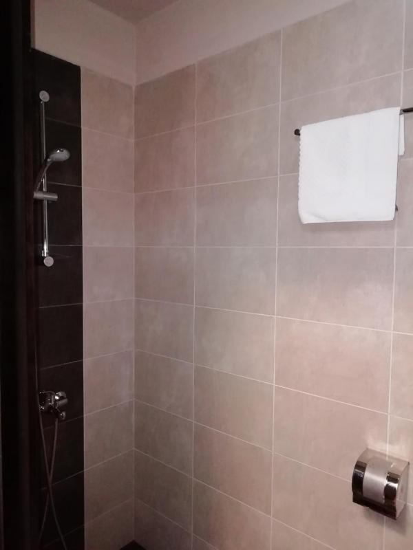 Budget Single Room image 4