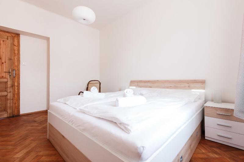Prague Days - Spacious Retro-vibes Apartment near Charles Square - image 6
