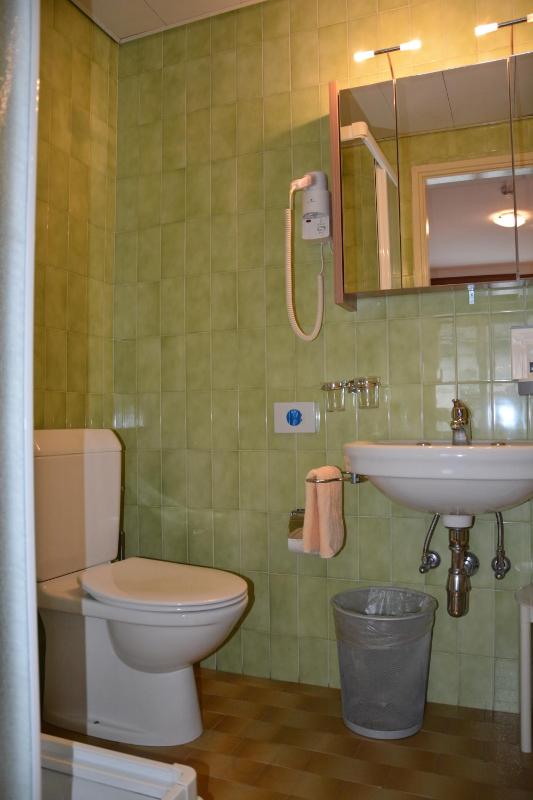 Hotel Dischma - FREE BUS AND TRAIN TICKET - image 46