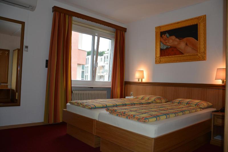 Hotel Dischma - FREE BUS AND TRAIN TICKET - image 13