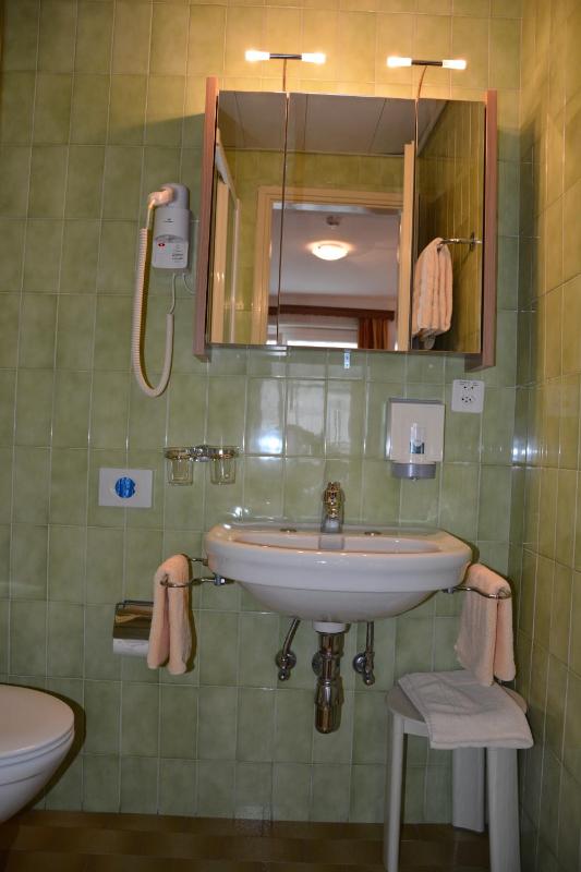 Hotel Dischma - FREE BUS AND TRAIN TICKET - image 7