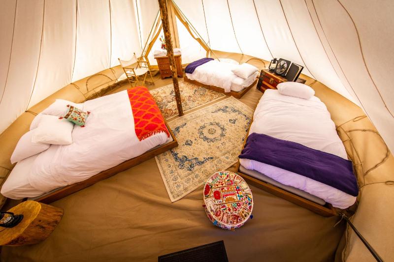 Traditional Tent With Electricity (4 people)  image 2