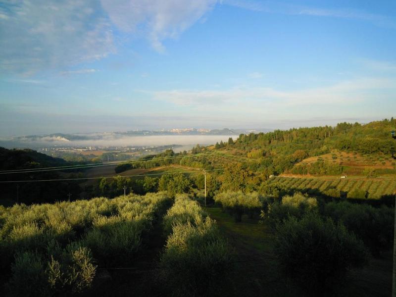 Agriturismo La Ginestrella - image 21