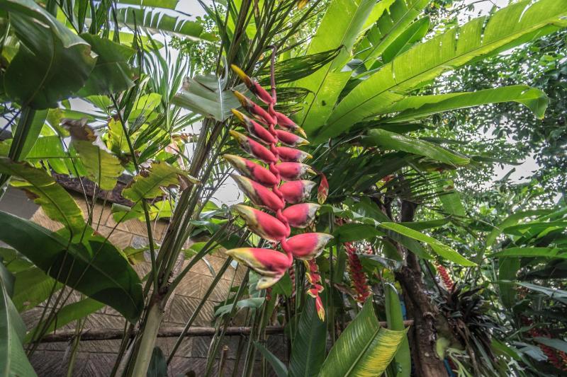 Tegar Guest House Ubud - image 14