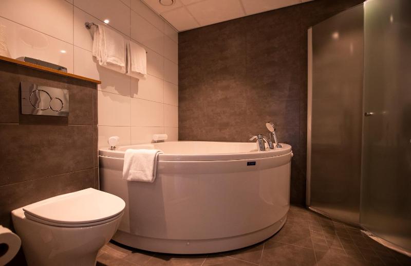 One-Bedroom Suite image 4