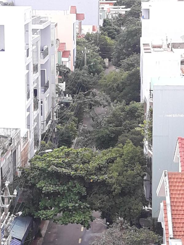 Anh Quân Hotel - image 29
