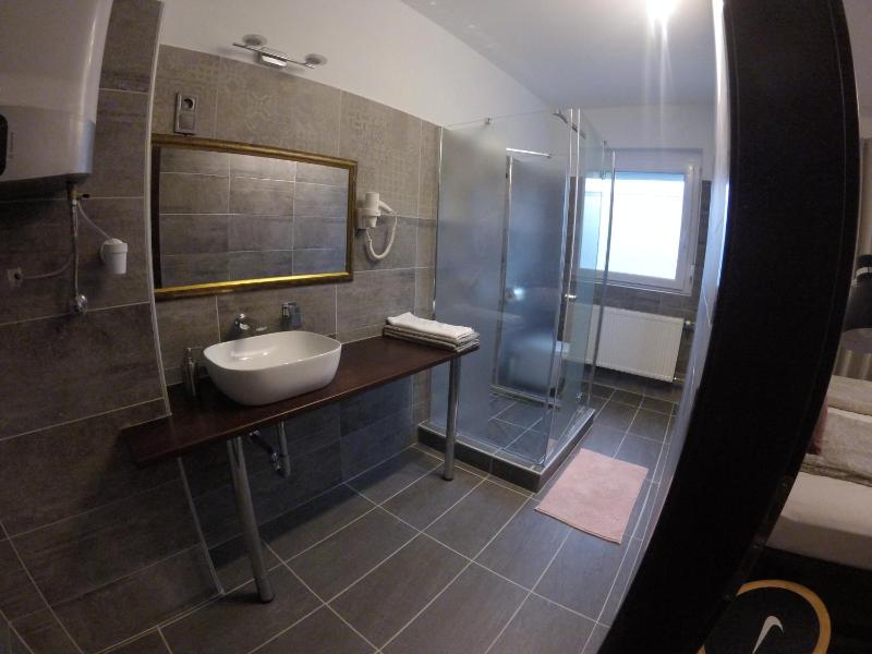 Deluxe Double or Twin Room image 3