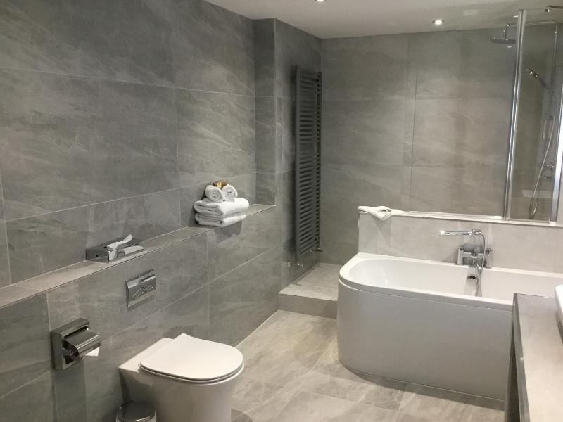 Superior Suite image 2