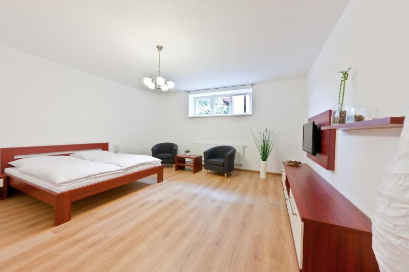 One-Bedroom Apartment image 2