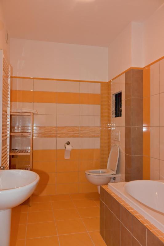 One-Bedroom Apartment image 3
