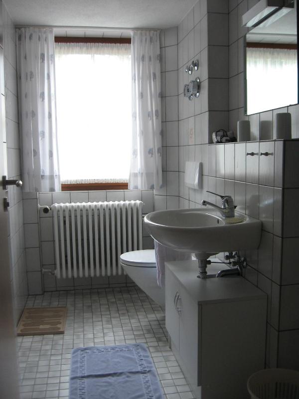 One-Bedroom Apartment image 2