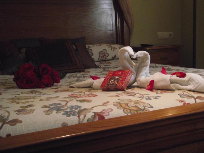 Double Room with Spa Bath image 4