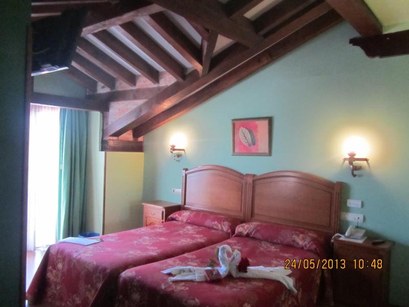 Double or Twin Room image 1