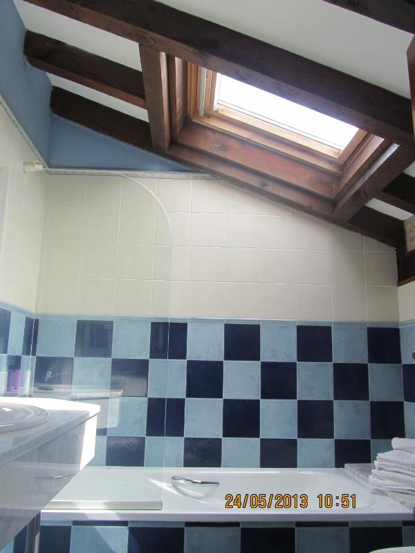 Double or Twin Room image 4