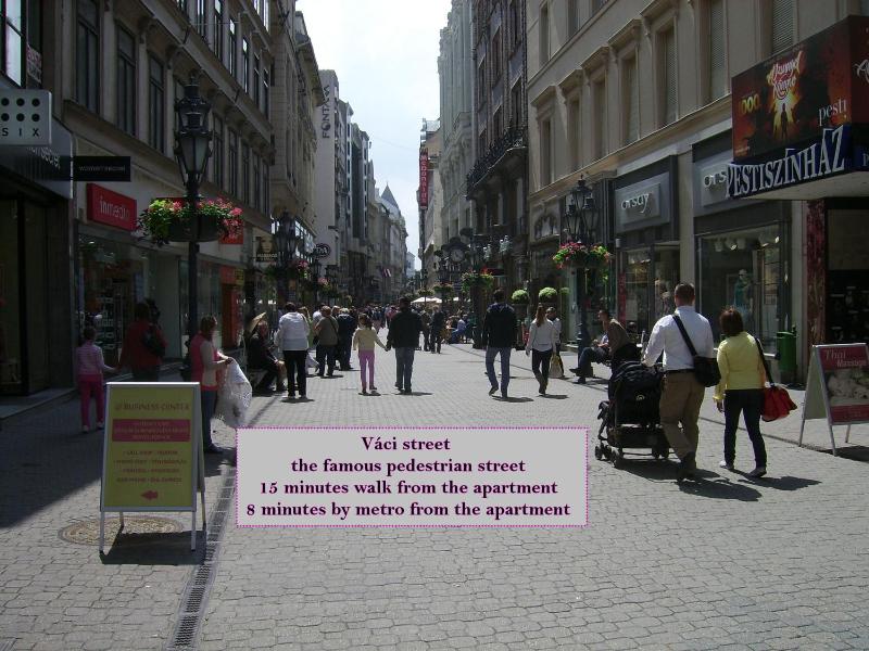 Downtown Apartments Budapest - image 2