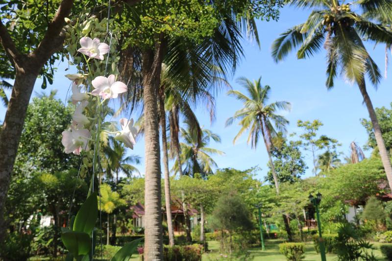 Rasa sayang Resort - SHA Certificate - image 17