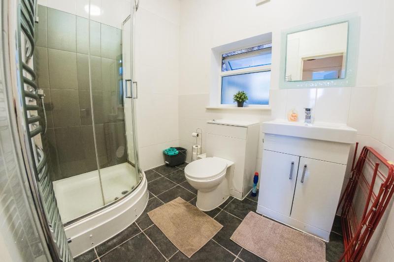 One-Bedroom Apartment image 4