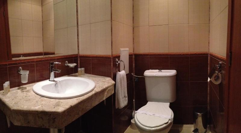 Karlovo Hotel - image 43