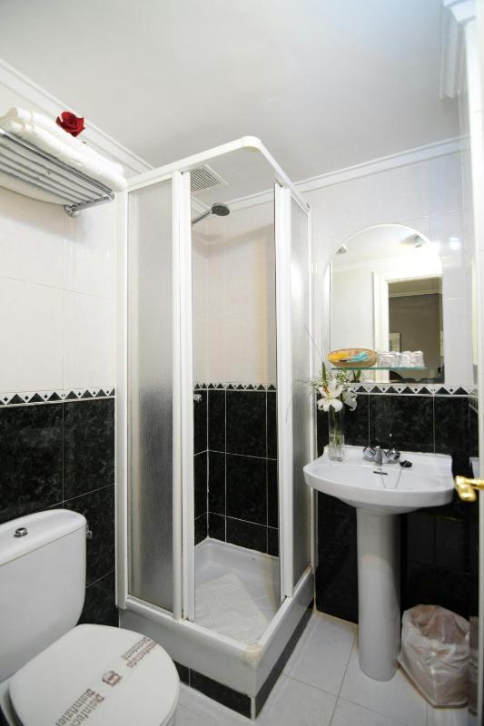 Double or Twin Room image 4