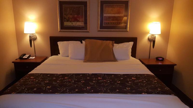King Suite with Sofa Bed - Non-Smoking image 1