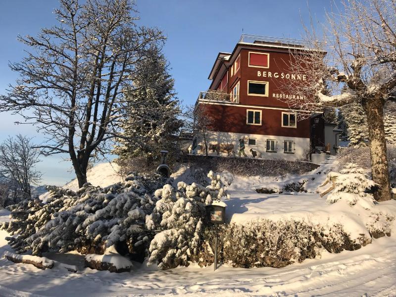 Hotel Bergsonne Rigi Kaltbad - image 16